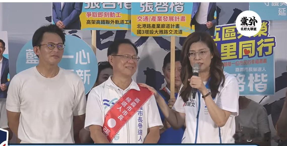 蓝白团结挺张启楷郑丽文、黄国昌助阵由“党外在野大联盟”发起组织的“救台