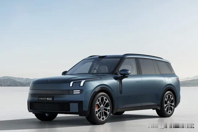 真正的好男人，就开大六座。买跑车的是大男孩，买特斯拉的是守旧派，买大六座的才是真