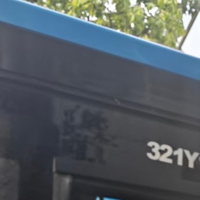 是哪个闲得慌，在树上写字，太离谱了