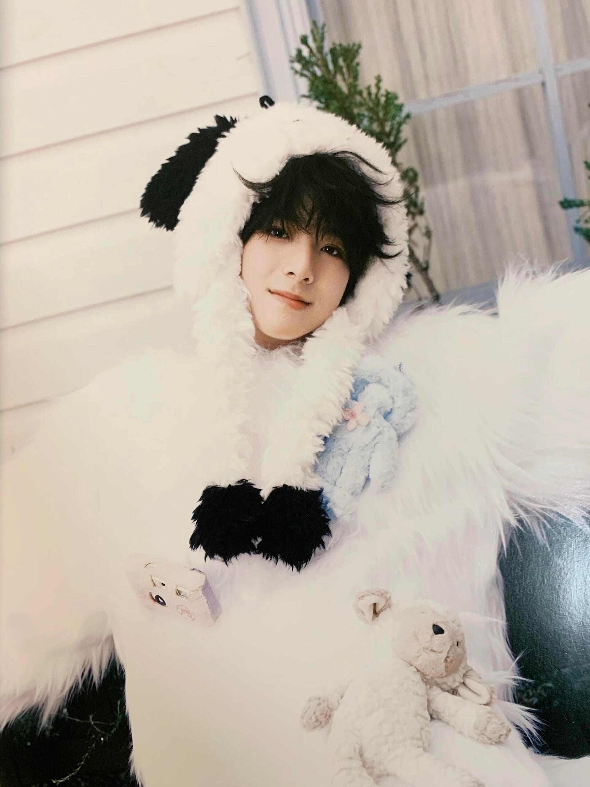 陈浚铭斑点小狗陈浚铭生日周边斑点修狗太美萌了可爱的有点超过了什么造型都完美适配c