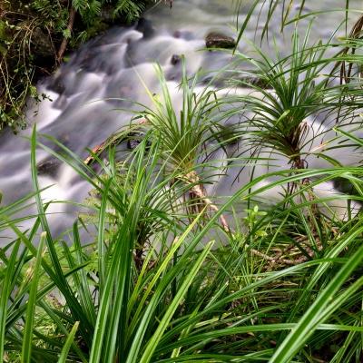 生活一地鸡毛，当你心烦意乱的时候如何化解？有一妙招，屡试不爽。没有一帆风顺