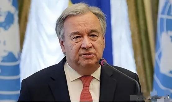 联合国这回可真是热闹非凡，不过一夜的功夫，就有一股全新的势力异军突起，成了新的“