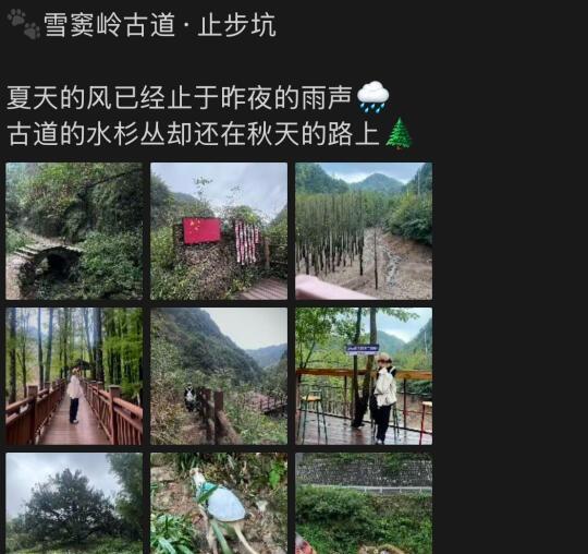 ⛰️第8座山-绍兴雪窦岭·止步坑5.2km绍兴的“水上红杉林”发现了一条超