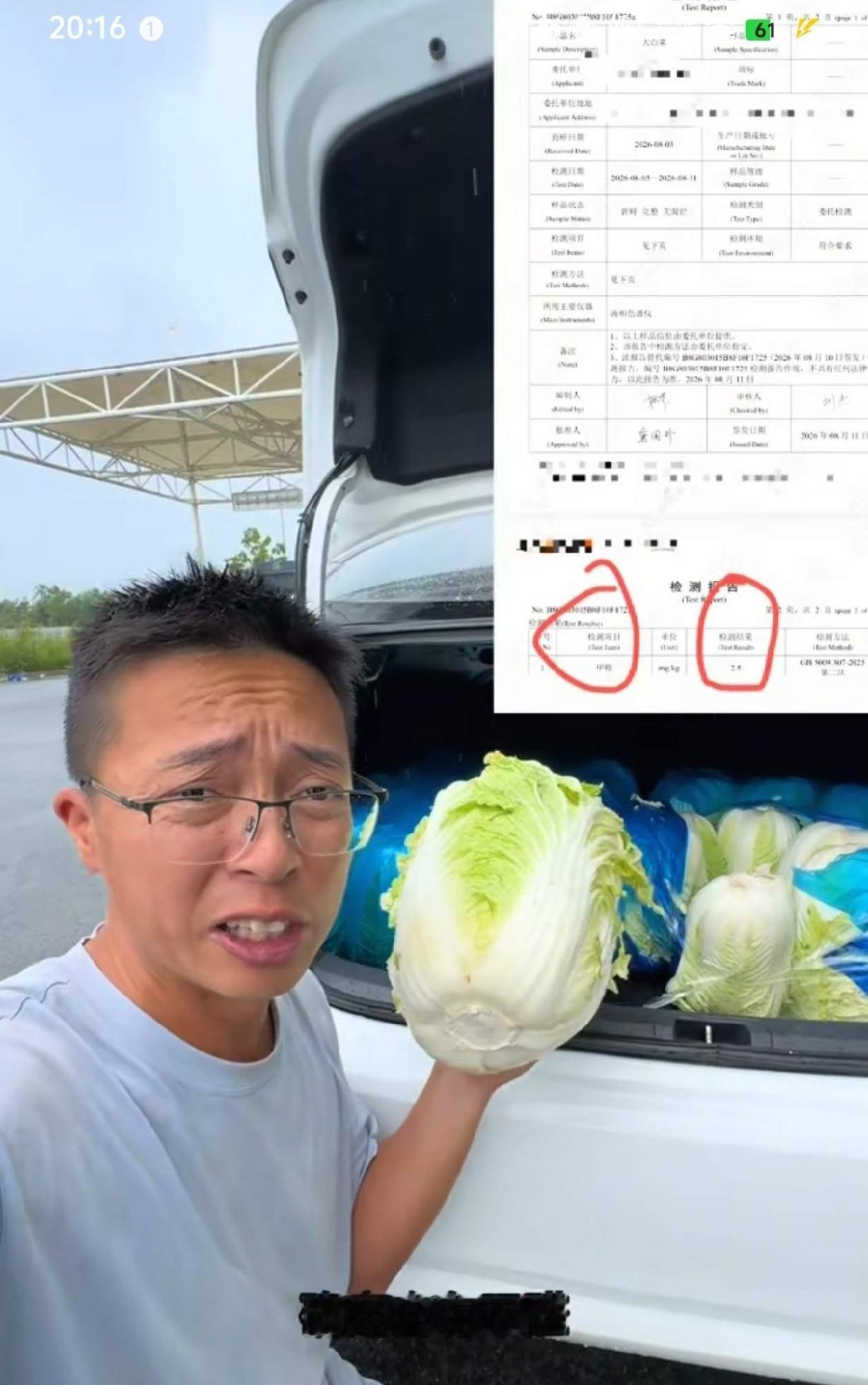 康保白菜这事，人民日报都看不下去了，直接点名要从严从重。说真的，看到那个视频