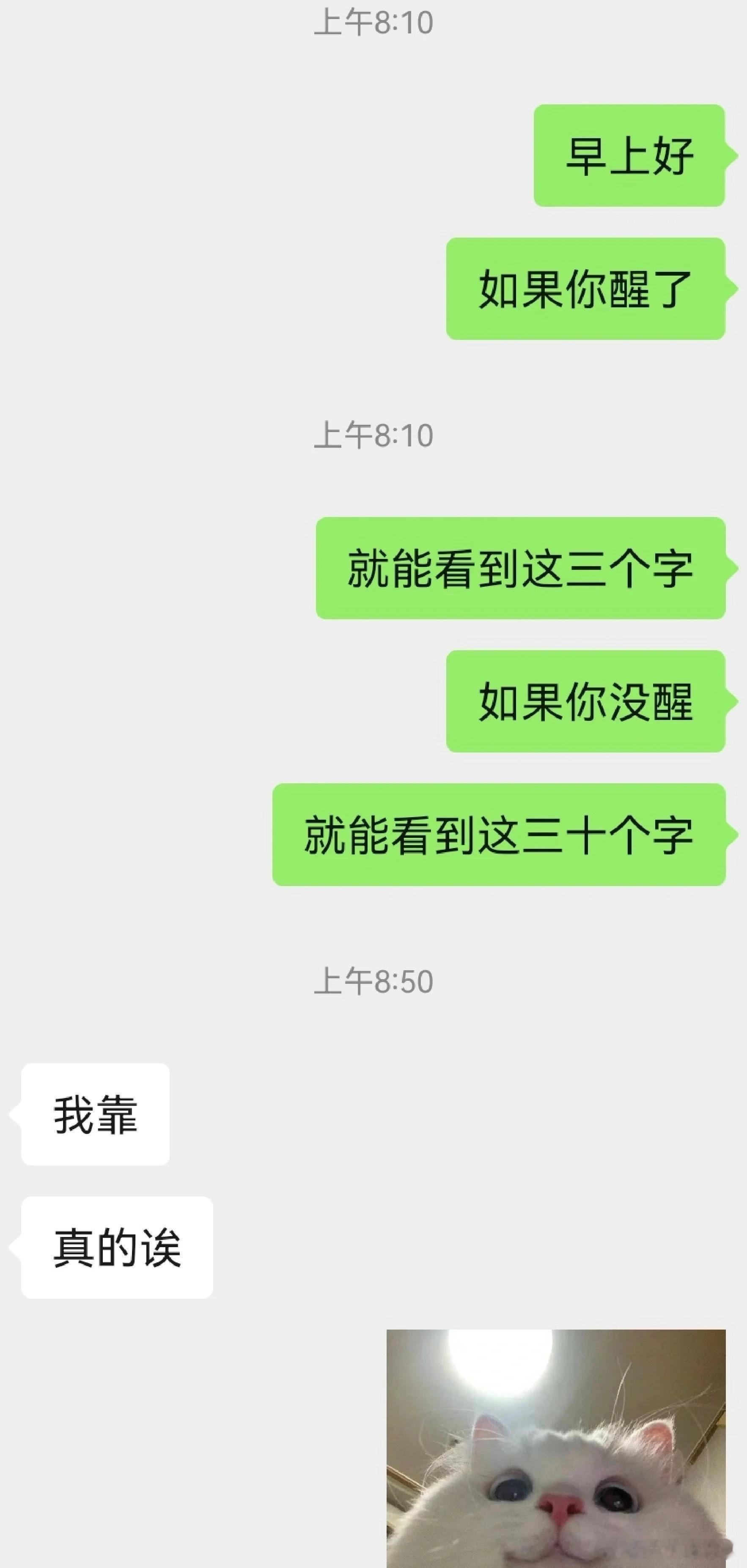 相亲到底应该怎么聊啊