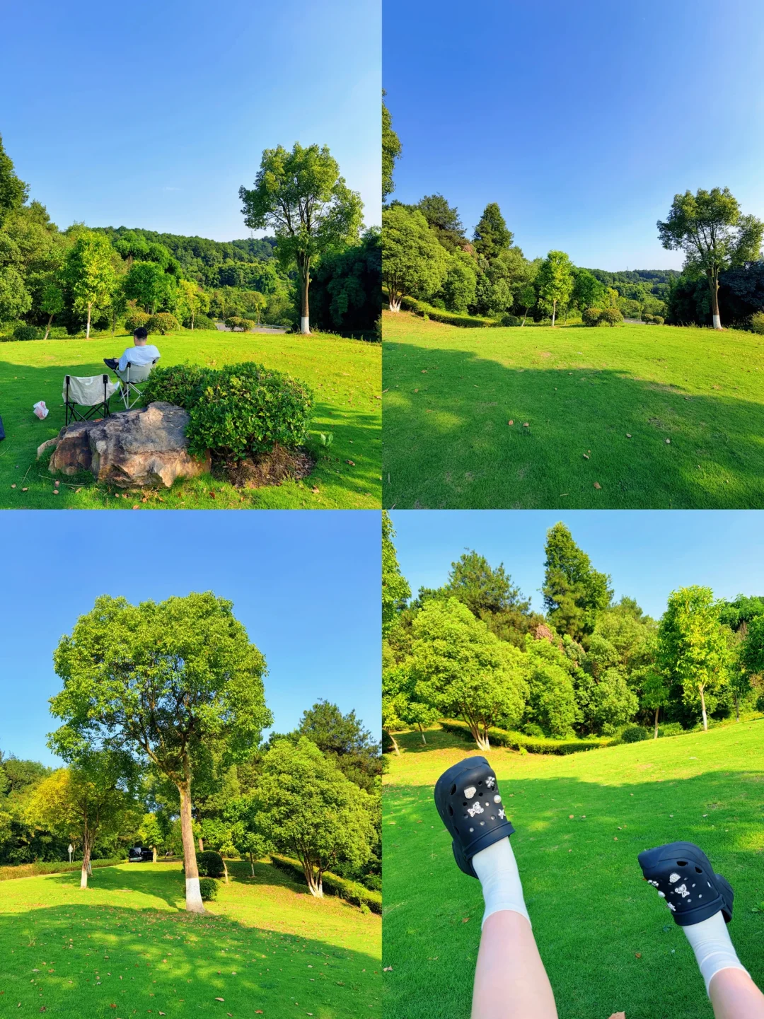 铁山坪森林公园🌳山上吹风好凉快！