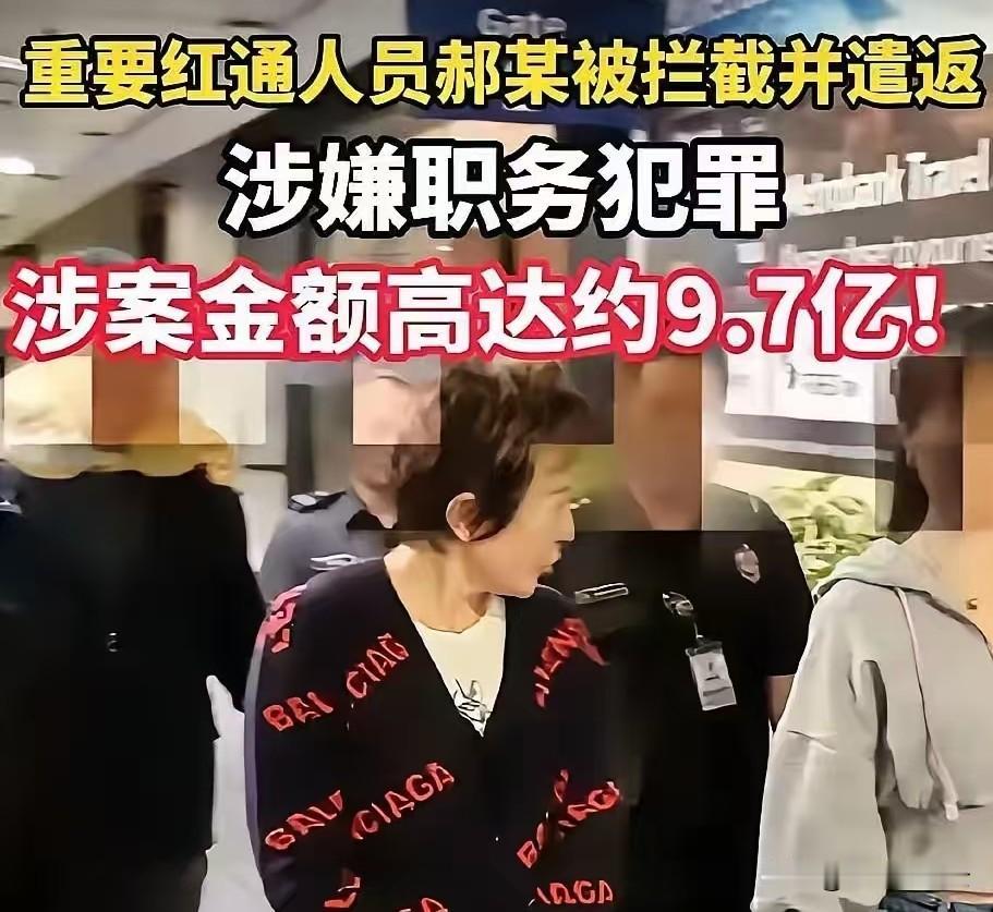 11亿的白天辉刚判死刑，这股劲儿还没过去。现在又来个近10亿的郝某。我都有