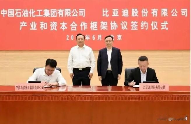 比亚迪的算盘玩得太溜了2026年原定落地两万座闪充站，转眼半年快过去了，只落