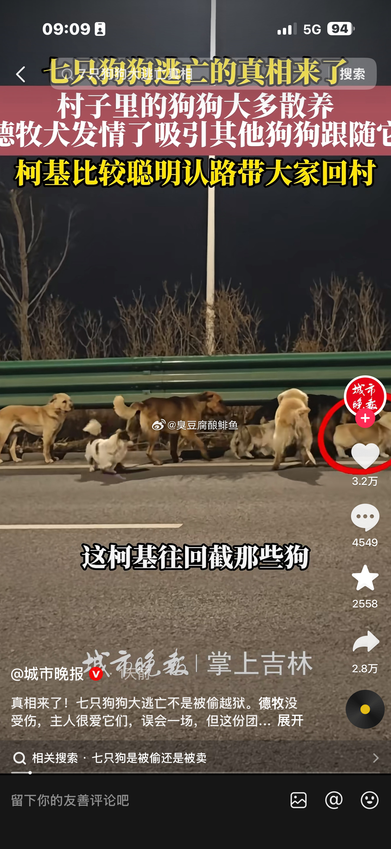 七只狗逃亡事件的结果是“哈哈哈”网友编造剧情是一个比一个厉害