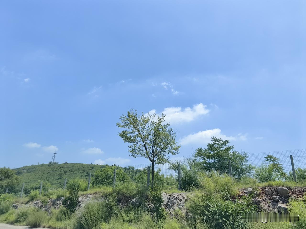 癌症早已被世卫组织定义为“慢性病”了。身边有很多被治好的癌症病例，男的，女的，