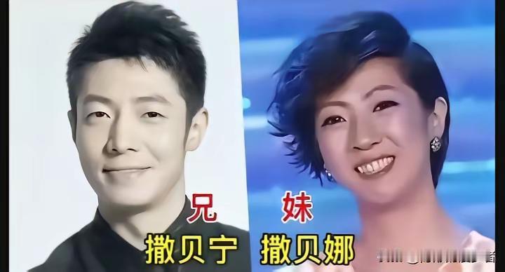 王刚和王静这兄妹两个长得也太像了吧，简直就是一模一样，说实话，兄妹两个长得都挺