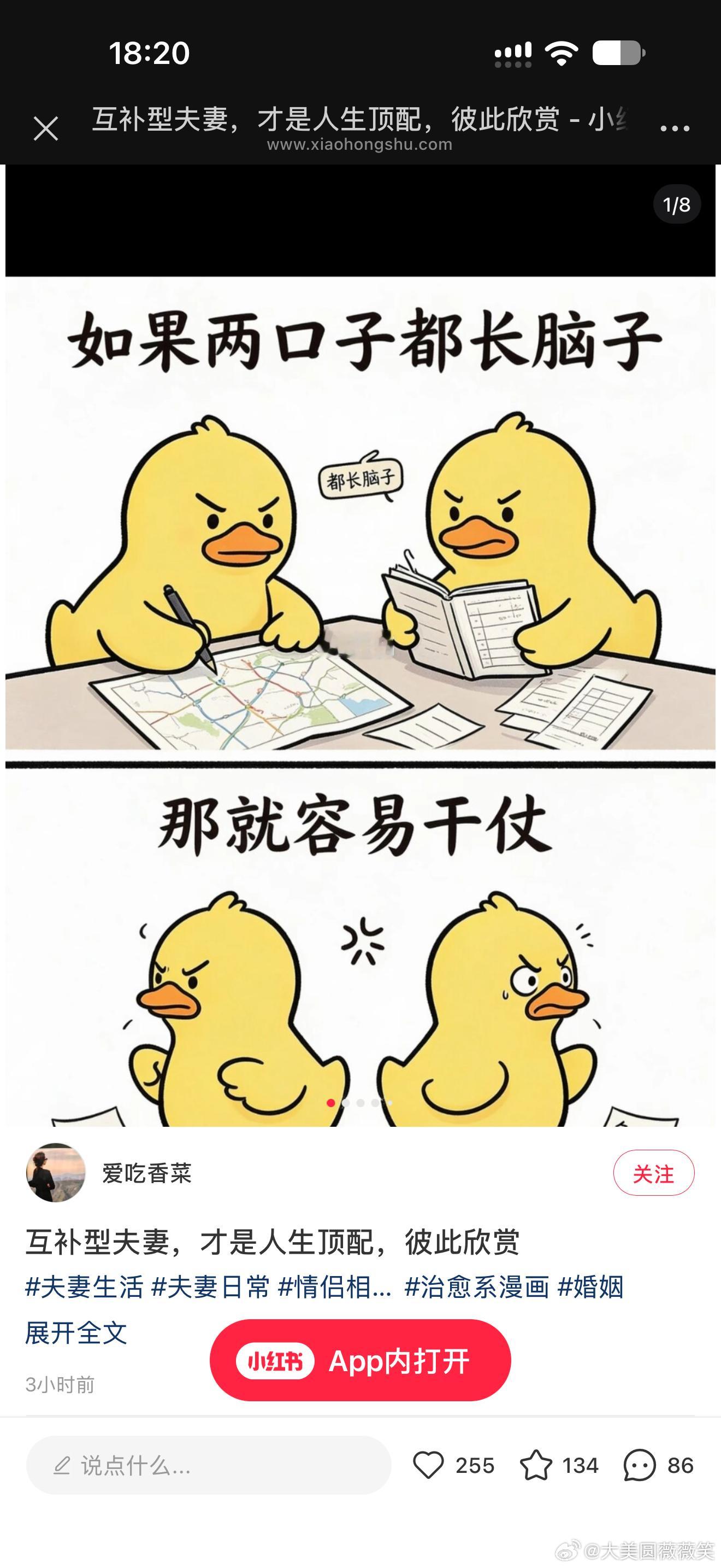 圆爸转发这个给我他在说谁没脑子😡​​​