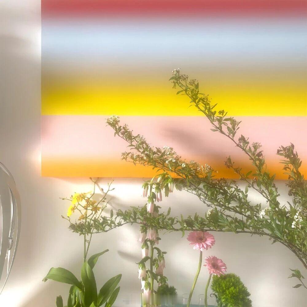 我没有做任何决定，我们之间，永远由你决定。——咬枝绿《空白页》早安言情小说推荐