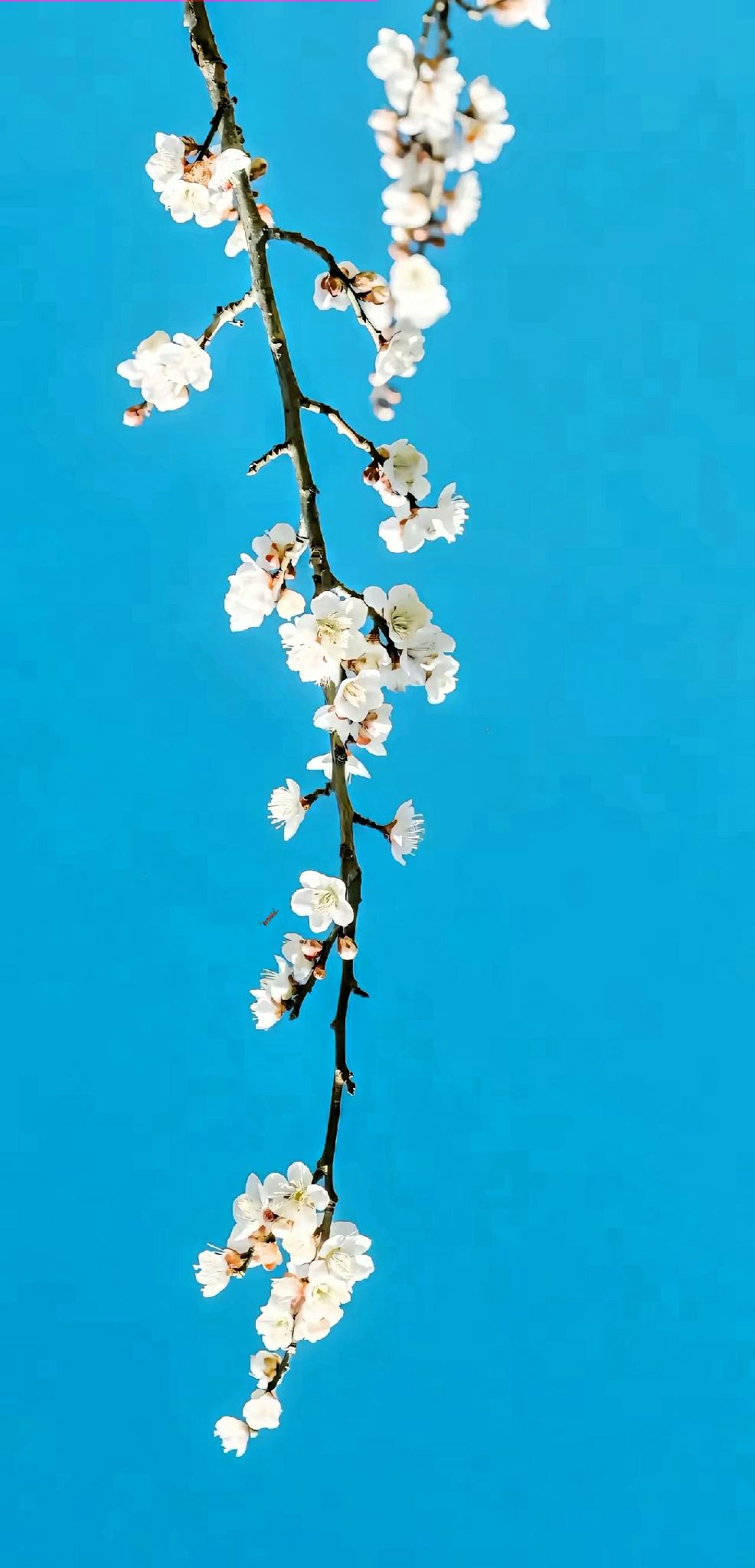 经济学家说:“两年内先不要碰房子，只要你还有地方住，就不要关注房子，那些特别有