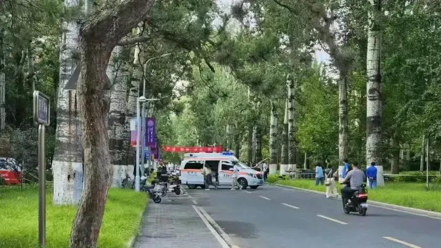 清华大学这棵枯树，在被绿化队移除时，砸中了刚好从树下骑车经过的北京语言大学商学院