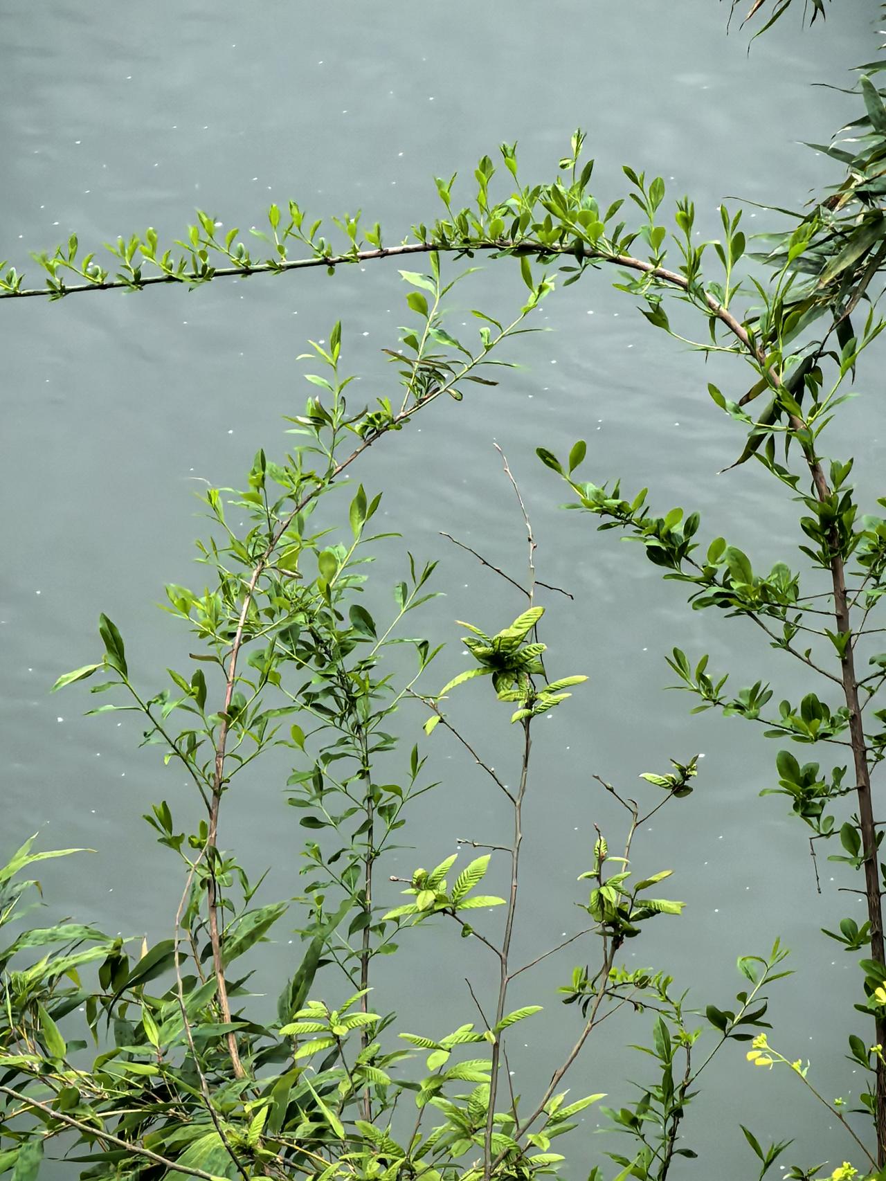 没想到，我们部门换领导了！支部书记职务转职员，我也是才听说的；新任书记还在公示