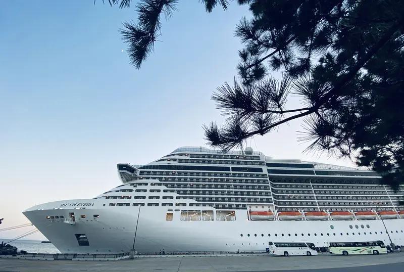 现在坐邮轮度假的人越来越多，可谁能想到竟有小偷把邮轮当成“作案宝地”。有个叫邓某