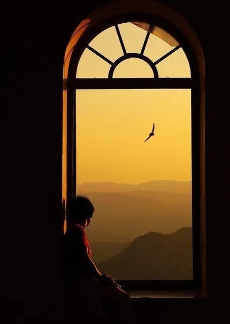 人生确实是需要不断地获得奖励的。人们误以为人生的奖励就是有钱，有权，有名，有人爱