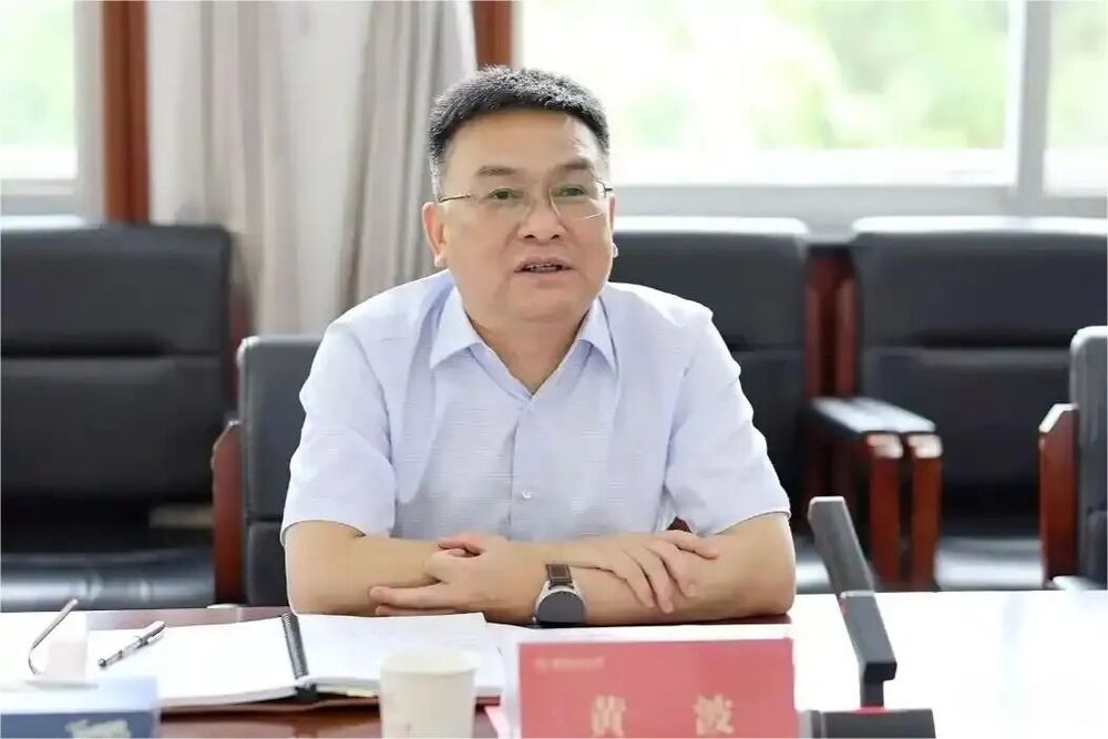 贵阳市委副书记黄波, 任上被查