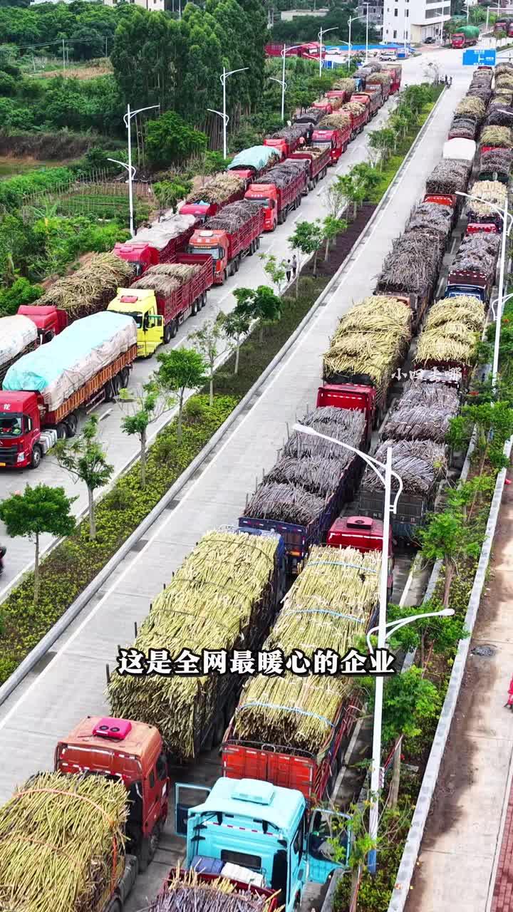 “一万吨白糖！24小时内必须清掉！”一声令下，广东茂名的食品厂老板们，连价格都