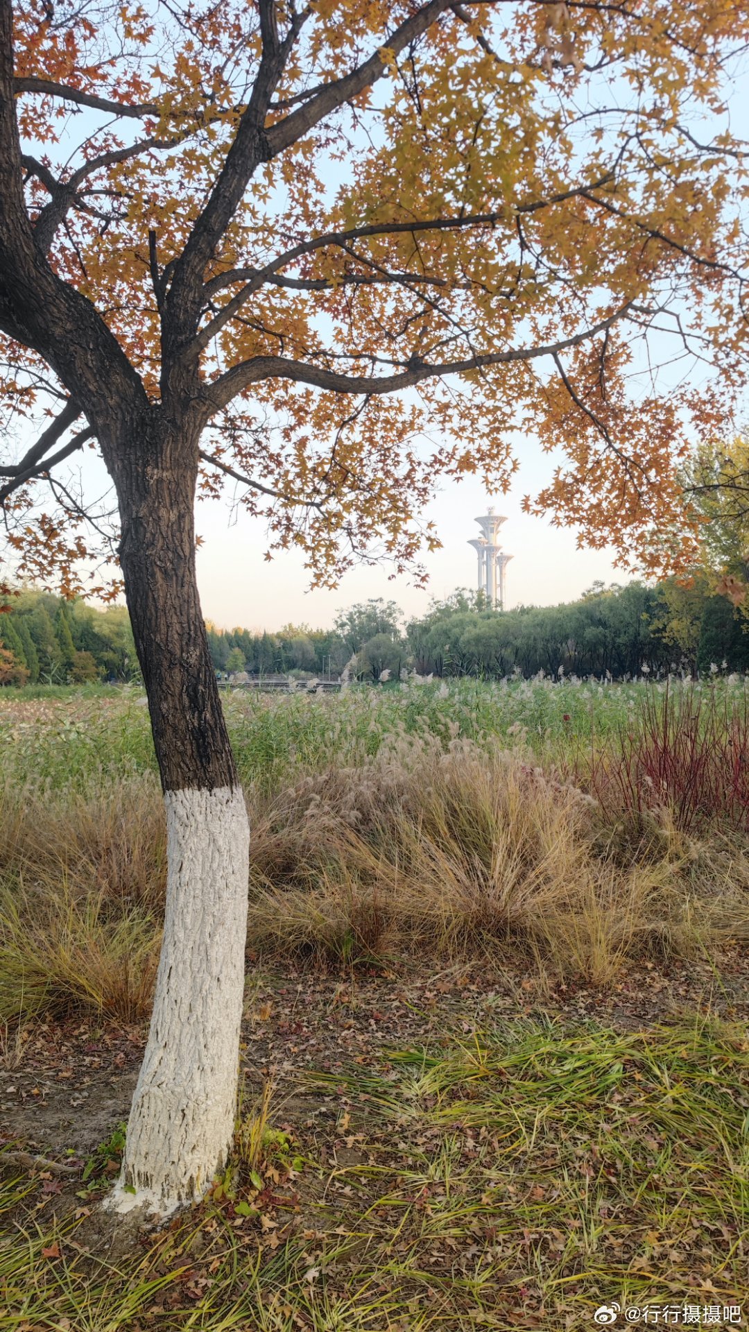 奥森公园的秋摄影​​​