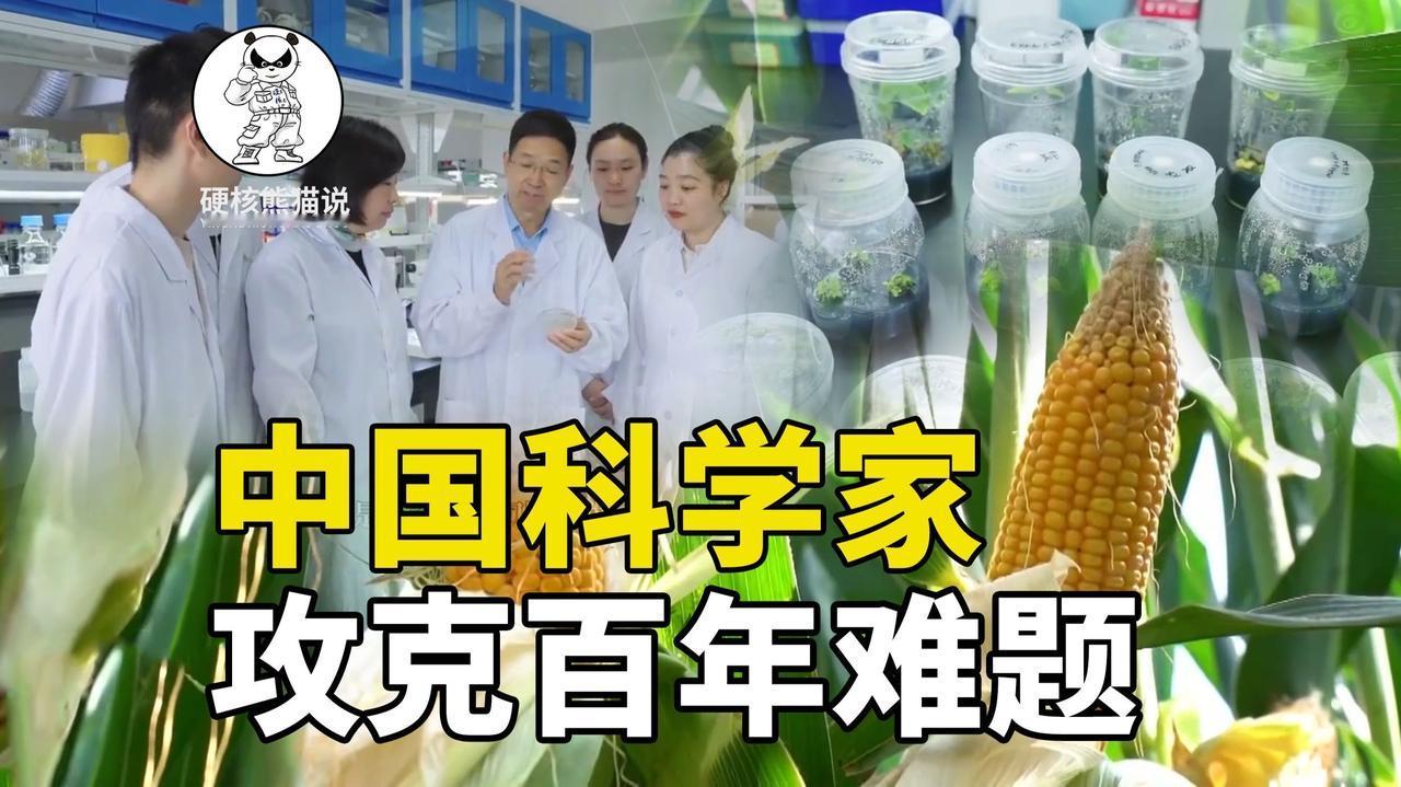 中国科学家攻克世界级难题：这一次，我们用实力打破所有质疑！你是否也曾在刷到国