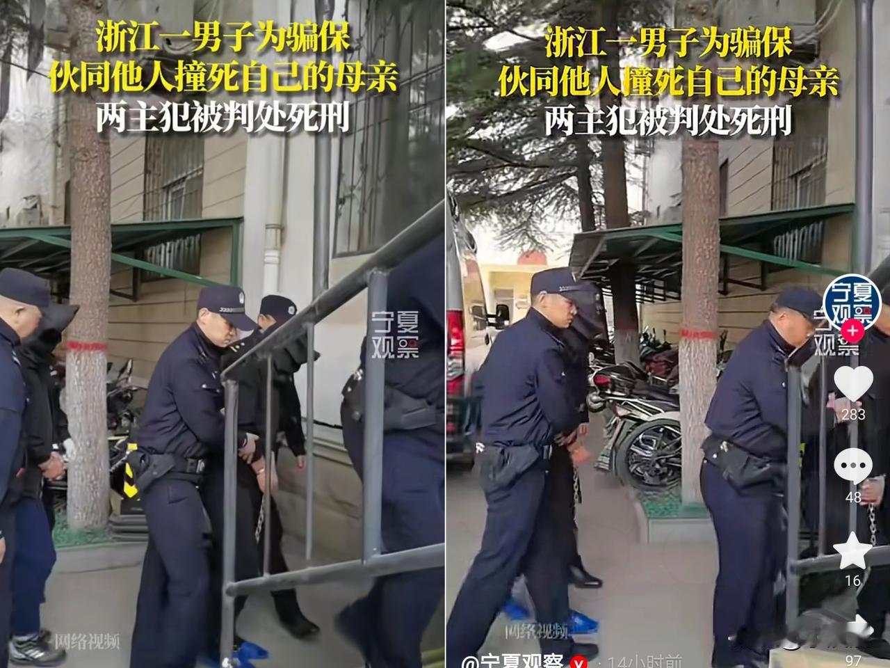 你敢信吗?浙江台州这起弑母骗保案,比儿子联合外人撞死亲妈更让人脊背发凉的