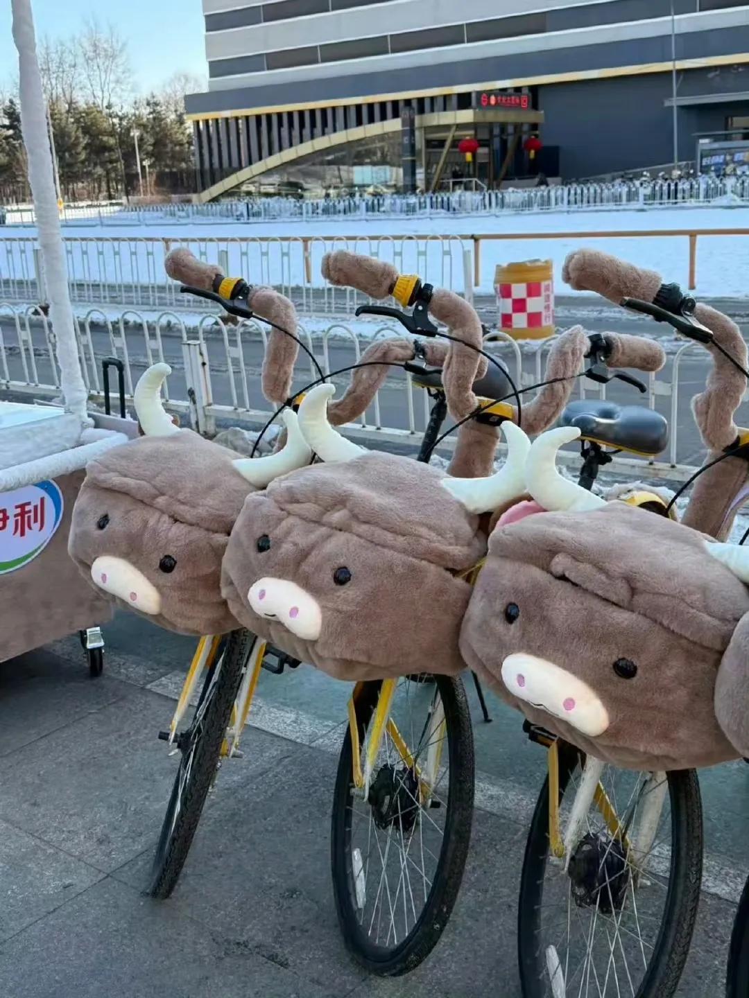 沈阳果然是大城市啊！自行车都穿貂了。