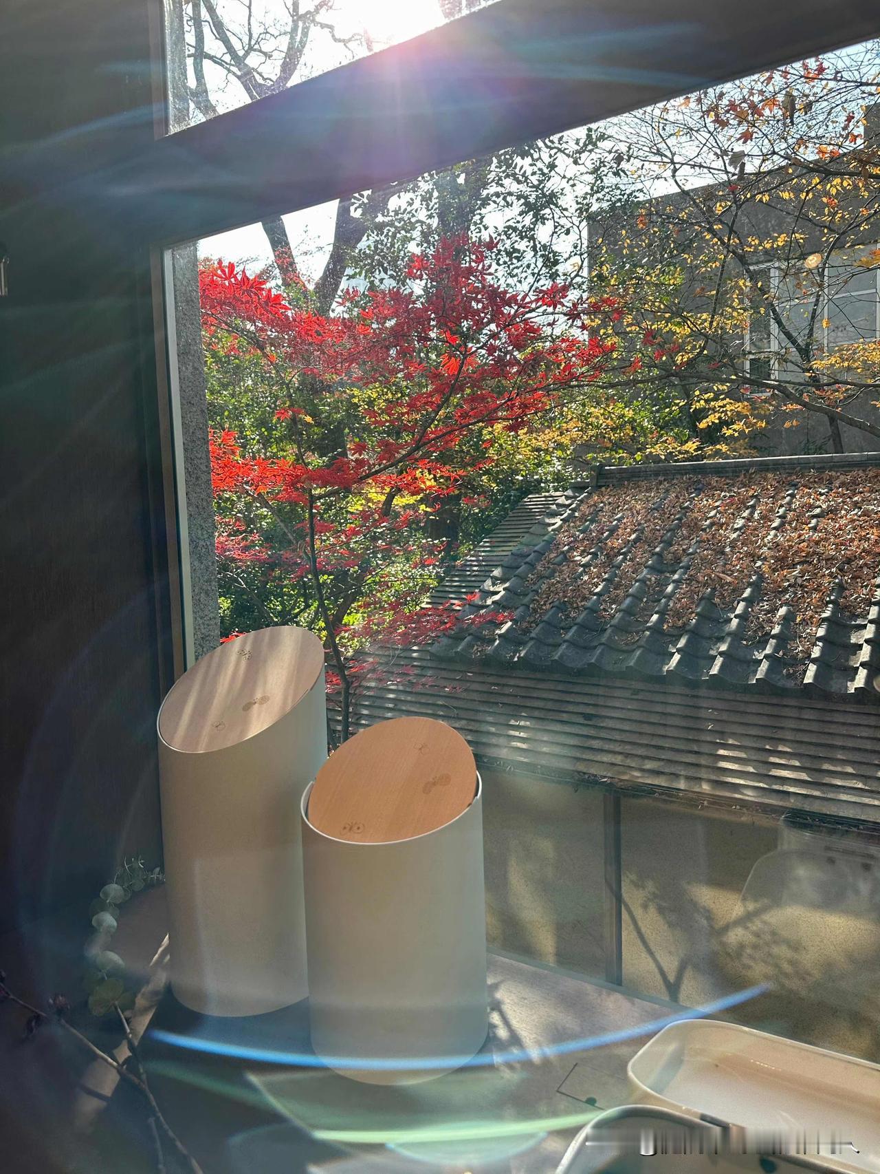 奉劝大家，千万别给孩子提前买房。我家闺女上初中那会，我跟老公合计着提前给她备套