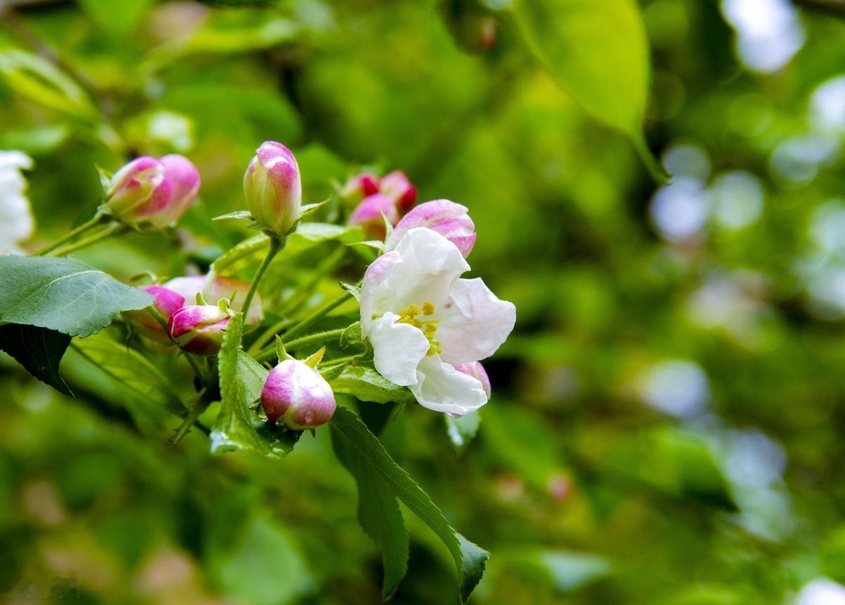 人从来都不是永恒不变的，生活会追着你，一而再再而三的洗心革面，只要愿意，你永远有