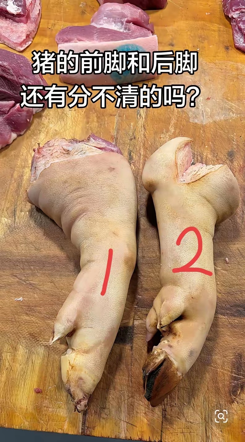 你能分得出猪的前腿和后腿吗？