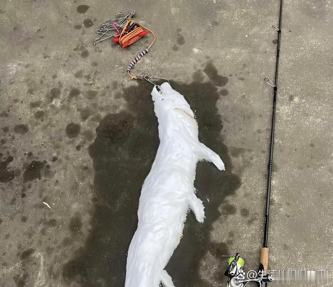 钓鱼佬，估计这辈子不敢钓了。