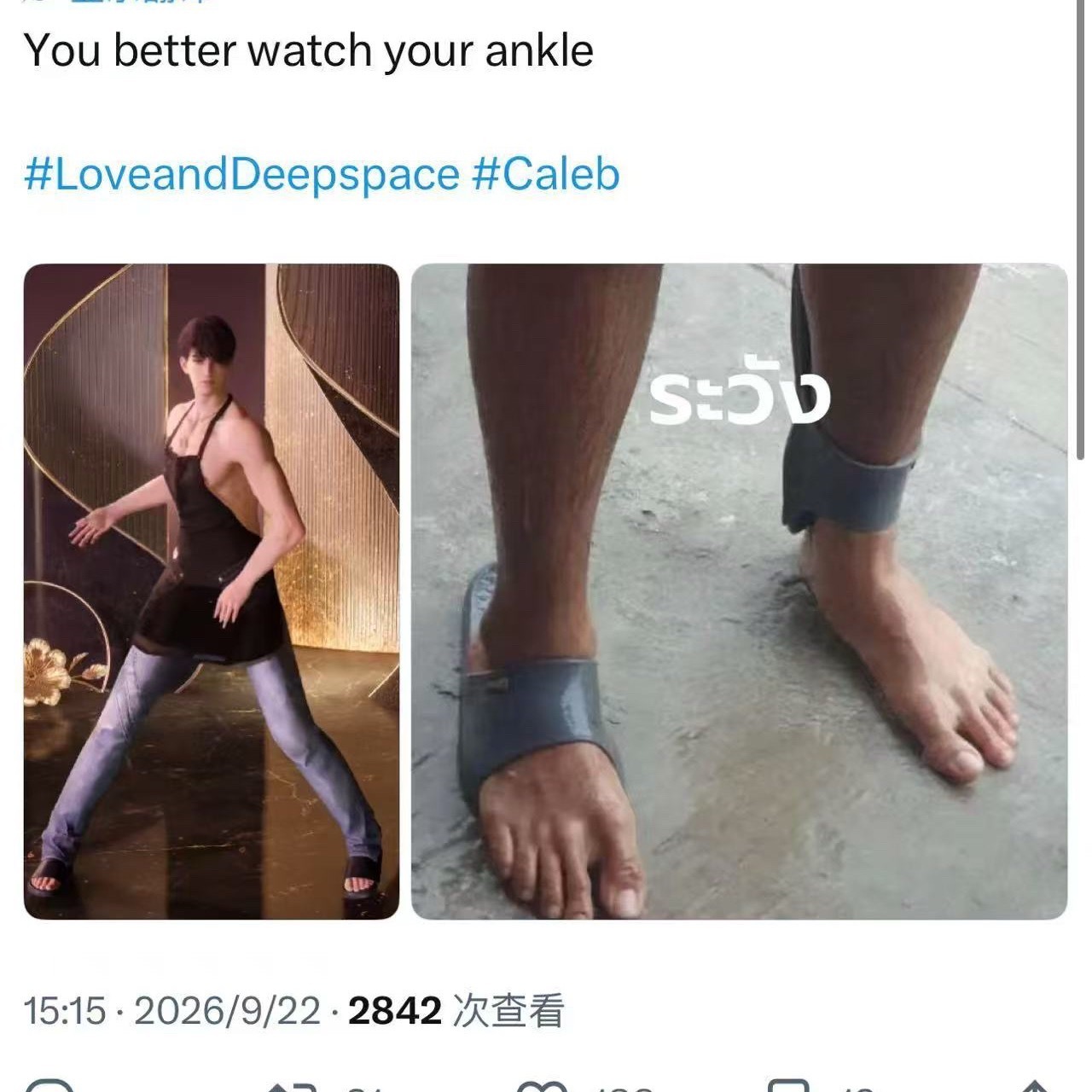 太逗了鸽鸽isnotCaleb,butDoubi​​​