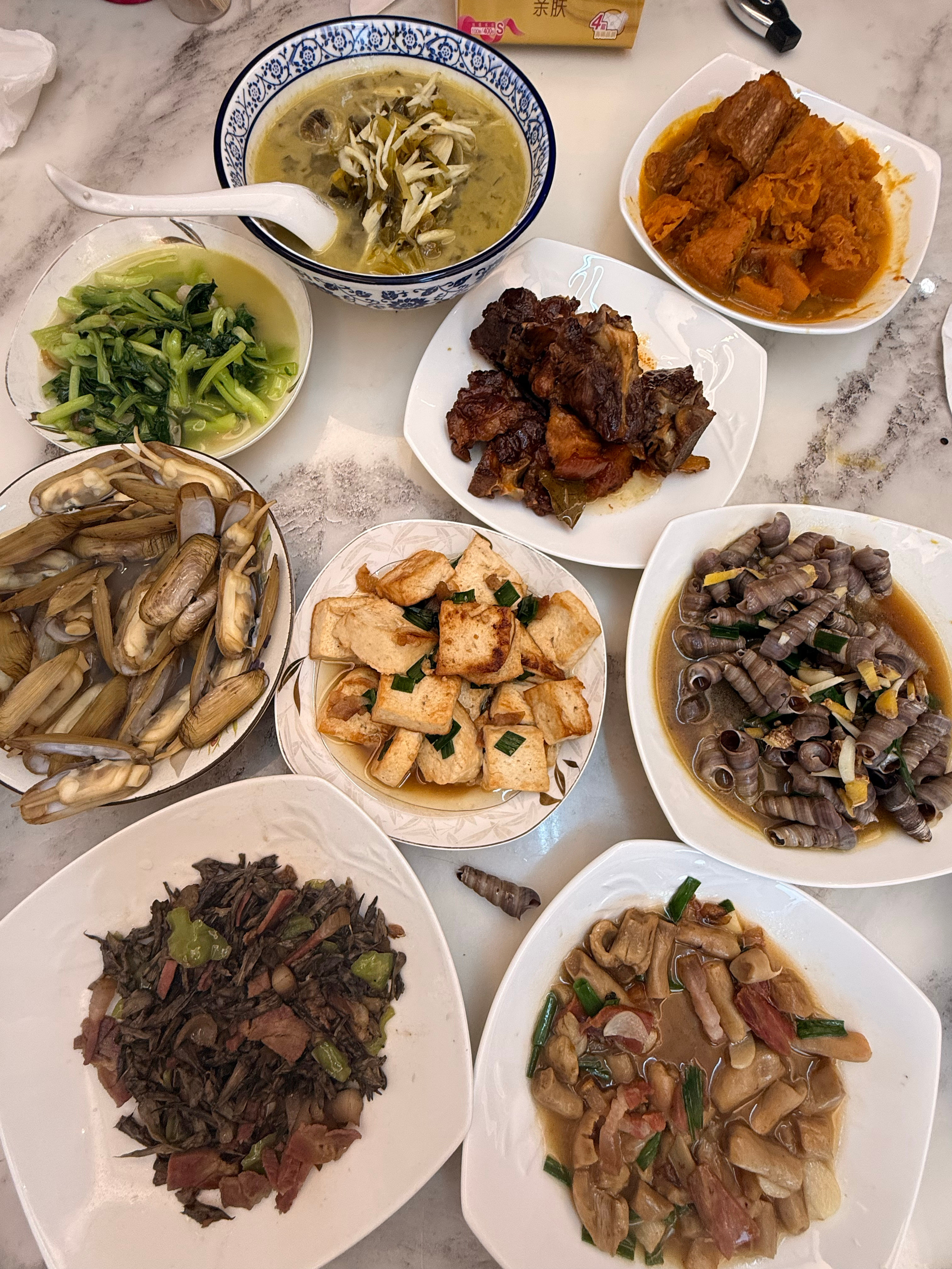 青头菌，太美味，肚子又撑爆了