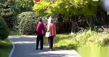 八十岁的老太太，最后是被亲生子女逼上法庭的。就因为她病了，想请个保姆照顾自己，