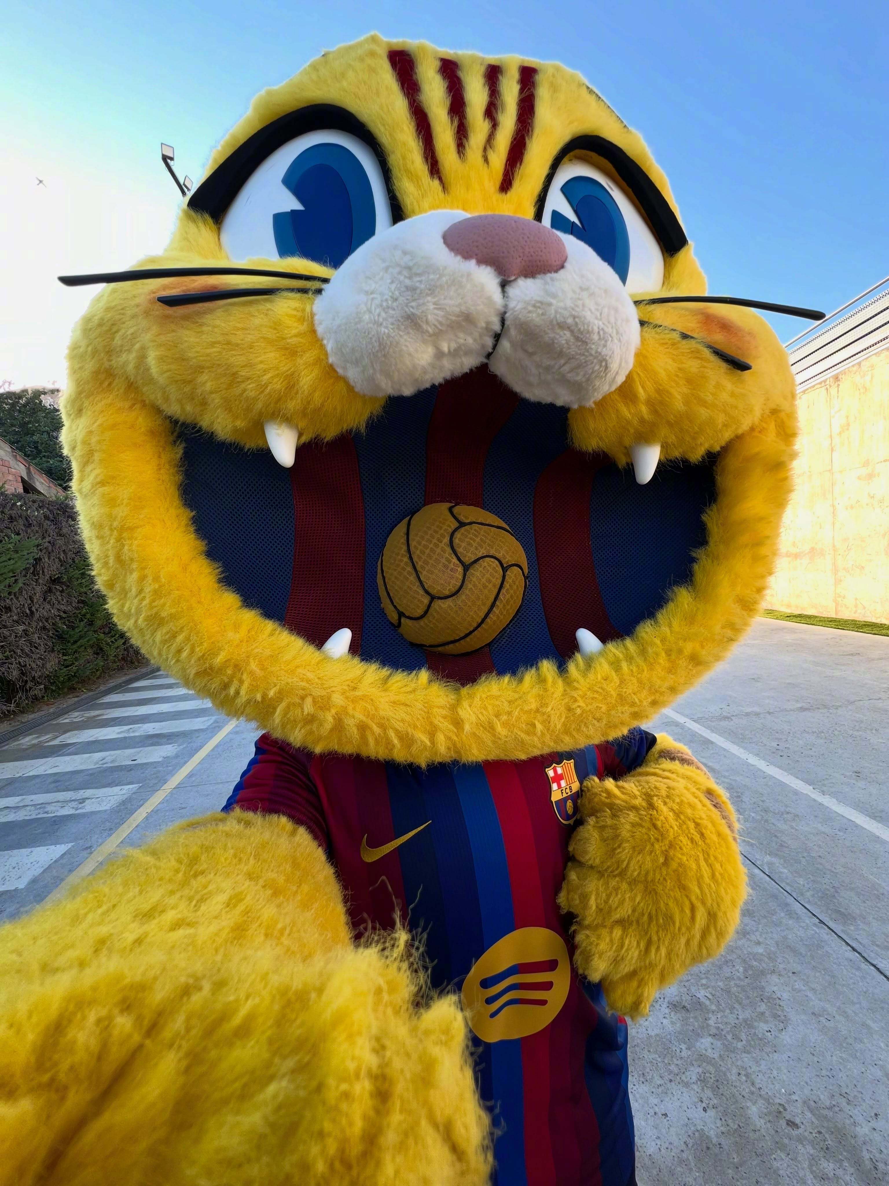 😽小猫咪啊，就该萌而自知🤳🏻🐾巴萨🔴🔵ForçaBarça