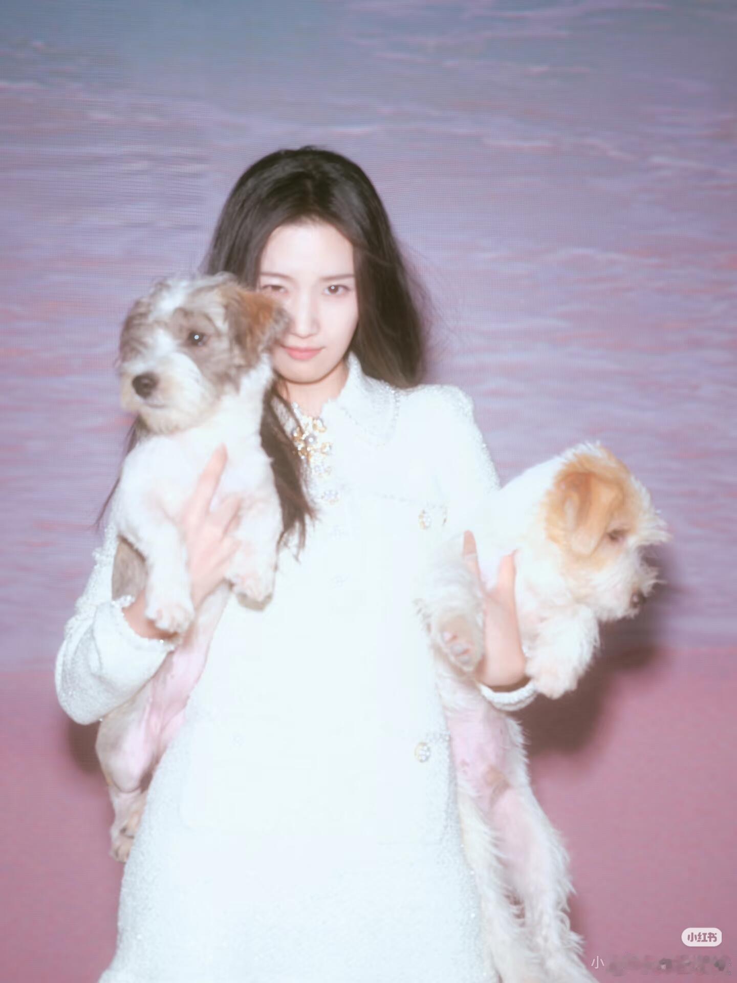 照片里有几只可爱小狗卢昱晓给我的感觉真的很像小狗，真诚可爱治愈……卢昱晓｜