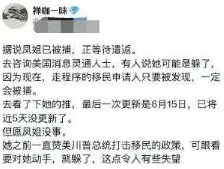 凤姐可能真的要回来了。