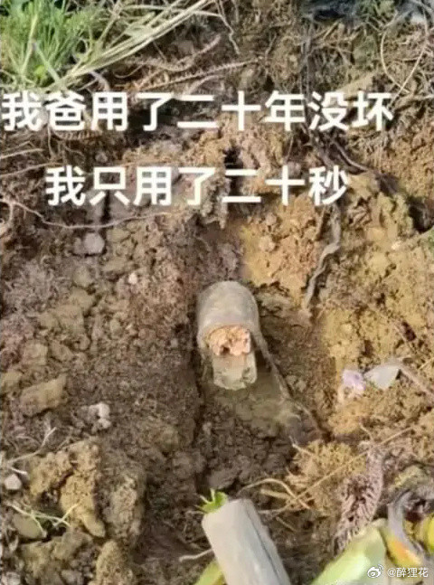家里最没用的东西，用坏了家里最有用的东西[捂脸哭][捂脸哭][捂脸哭]​​​