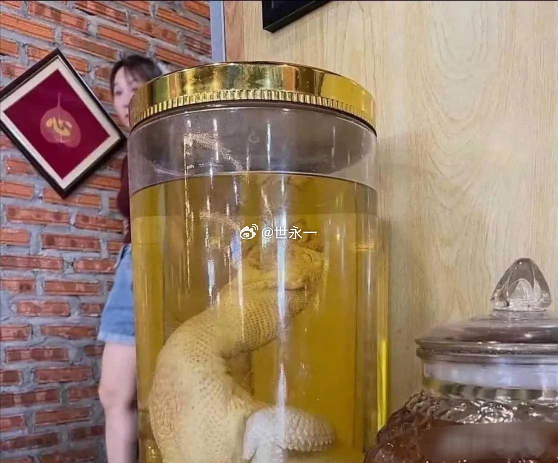 不得不说一个敢泡一个敢喝真是太牛了