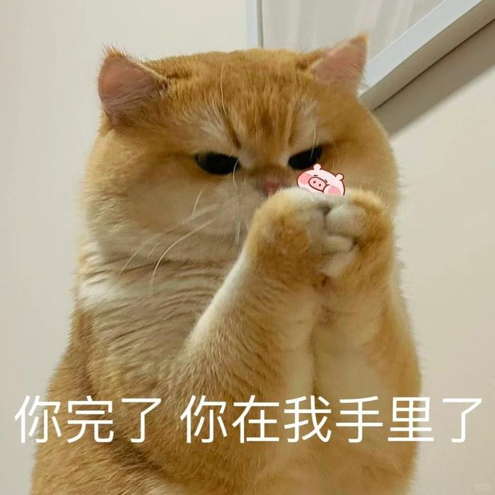 每天一条冷知识猫咪被钳住后颈后会引起"夹子效应"（PIBI），此时猫咪脊椎卷曲、