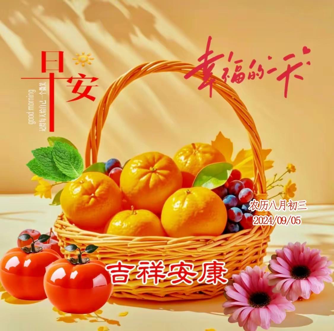 清晨的阳光捎着希望洒满日常，新的一天又活力开启！愿大家带着暖意出发，路上遇温柔，