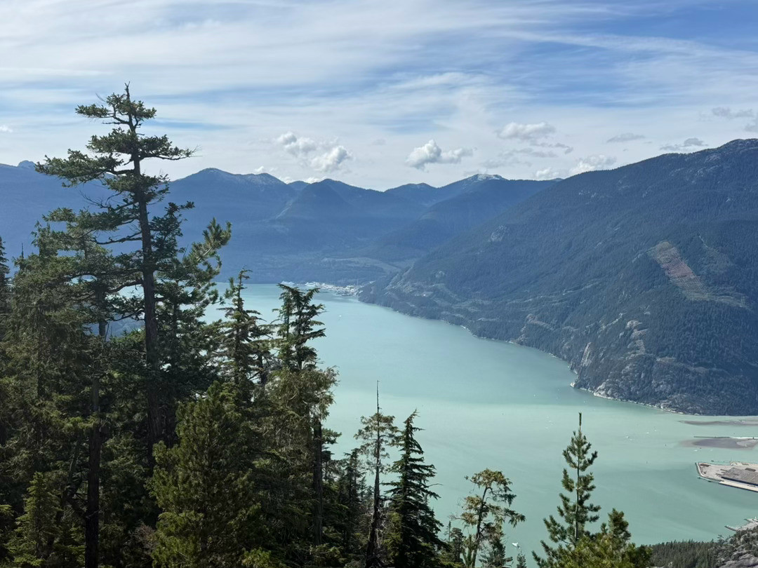松林掩映,峡湾似玉,雪山融水调出的青绿色美到窒息🏔️这一趟徒步真的值了自