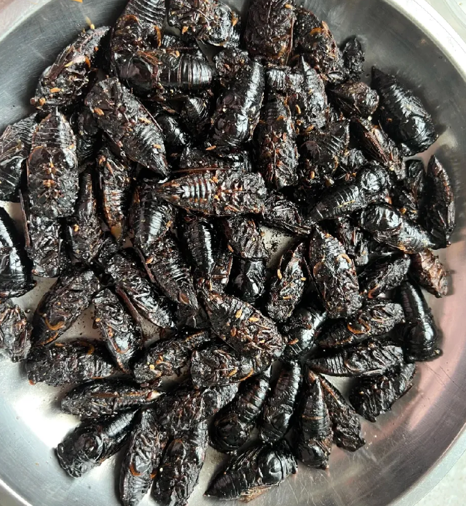 听说山东人爱吃这个美食，不知道朋友们爱吃这个吗？朋友们你们有吃过这个美食吗？