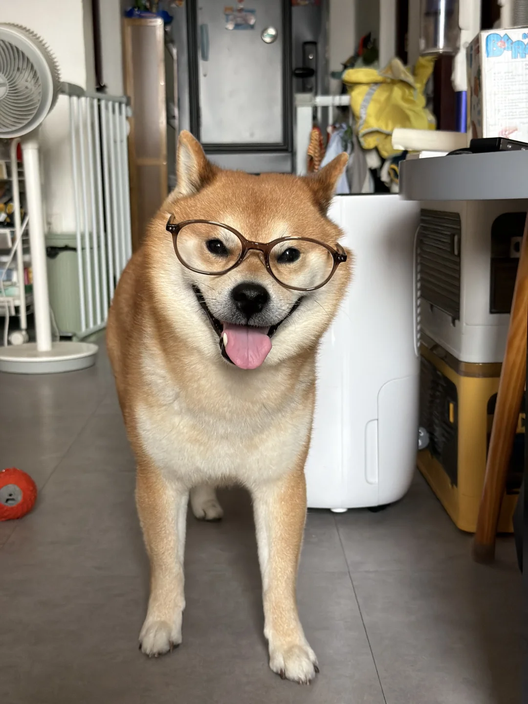 戴上眼镜感觉要说话了🤓