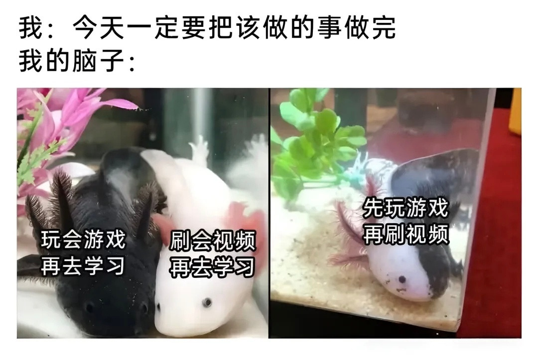 事情又没做完，也没玩开心，害！meme