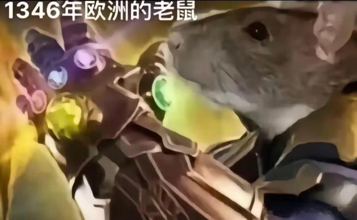 紫薯​​​
