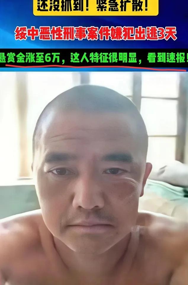 找到了，找到了！那个逃跑3天3夜，去向成谜的高大友，终于是被找到了！葫