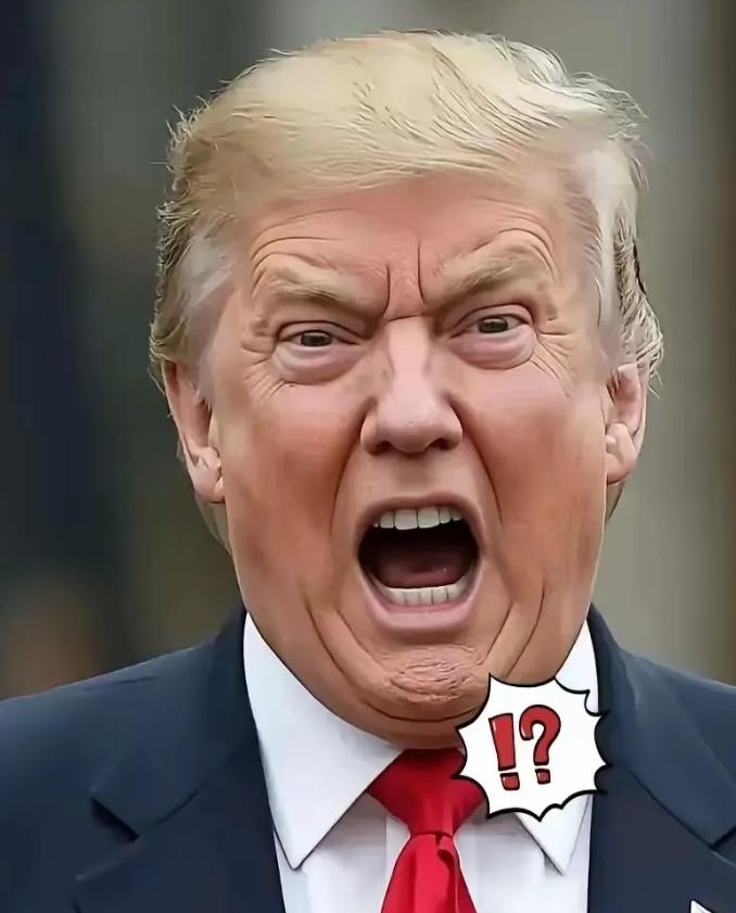 匈牙利选举新消息4月12日，匈牙利正在选总理。可就在投票的节骨眼上，美国总统