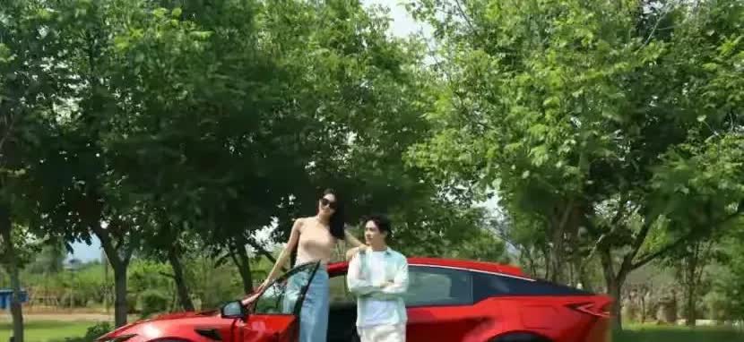 据悉，现在买车:50%的人——买电混车30%的人——买纯油车20%的